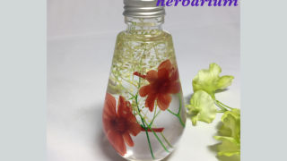 ティアードロップボトム [ジニア・オレンジ] ～プレゼントに最適　癒しのお花～「ハーバリウムフラワー」