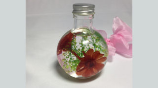 ミニラウンドボトム [ジニア・オレンジ] ～プレゼントに最適　癒しのお花～「ハーバリウムフラワー」