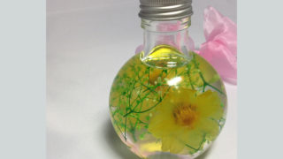 ミニラウンドボトム [ジニア・イエロー] ～プレゼントに最適　癒しのお花～「ハーバリウムフラワー」