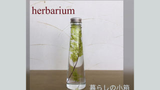 ミニコーンボトル [アジアンタム・ライムグリーン] ～プレゼントに最適　癒しのお花～「ハーバリウムフラワー」