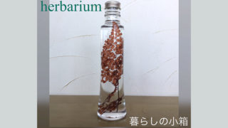 コーンボトル [アジアンタム・レッド] ～プレゼントに最適　癒しのお花～「ハーバリウムフラワー」