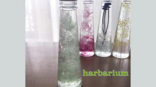 ミニコーンボトル [ペールグリーン] ～プレゼントに最適　癒しのお花～「ハーバリウムフラワー」