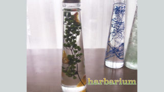 ミニコーンボトル [ペッパーグリーン＆オレンジ] ～プレゼントに最適　癒しのお花～「ハーバリウムフラワー」